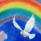 Thumb Fliegende Taube mit Regenbogen